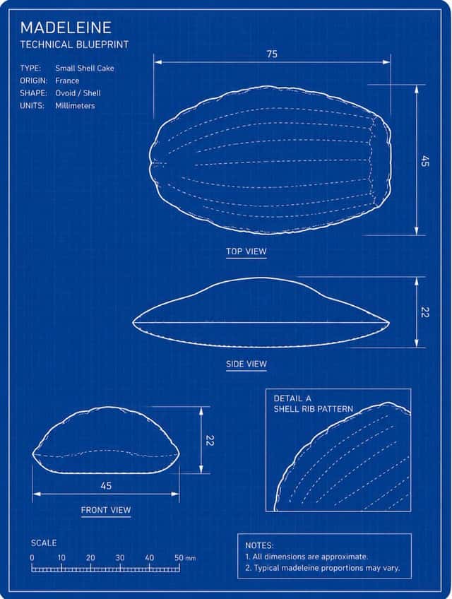 Madeleine Technical Blueprint preview