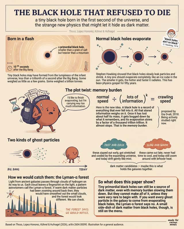 Teen-Friendly Black Hole Physics Infographic preview