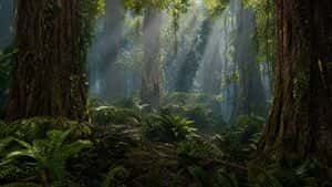 Prehistoric Redwood Jungle preview