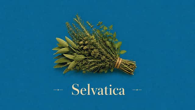 Vintage Mediterranean Herb Poster preview