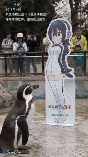 Documentary Photo Sequence of Penguin Story preview