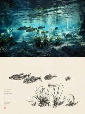 Underwater River Ink Rubbing Diptych preview