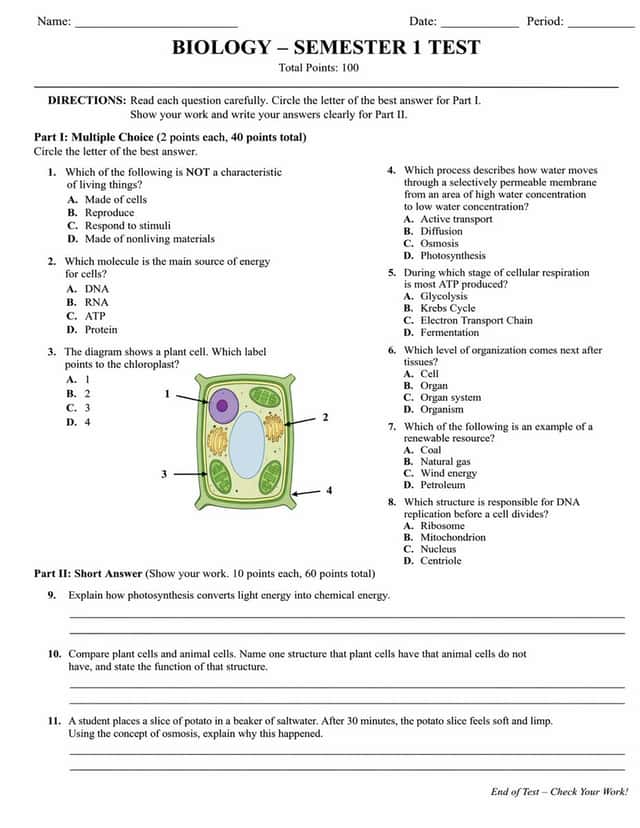Academic Exam Paper Generator preview