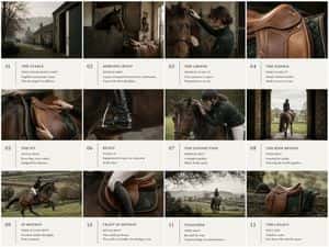 Equestrian Pitch Deck Storyboard preview