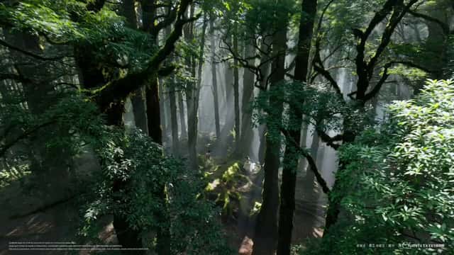 AI Wedding Video Prompt: Minimalist Forest Style with Light Effects preview