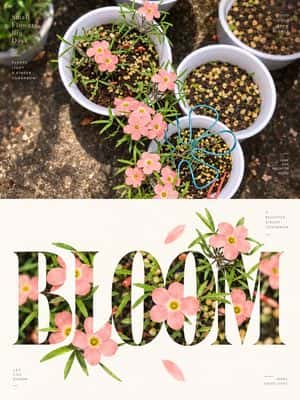 Experimental Typography Editorial Poster preview