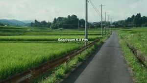 Cinematic Japanese Rice Paddy Landscape preview