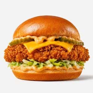 Crispy Chicken Burger Product Photo preview