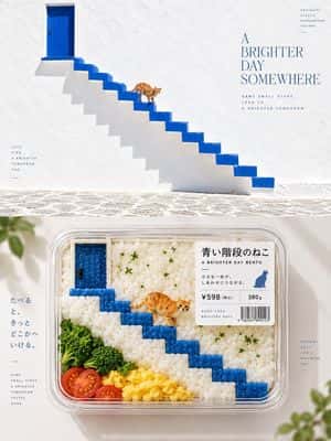 Bento-Style Food Packaging Transformation preview