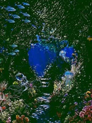 Enchanted Sea Sprites Grotto preview
