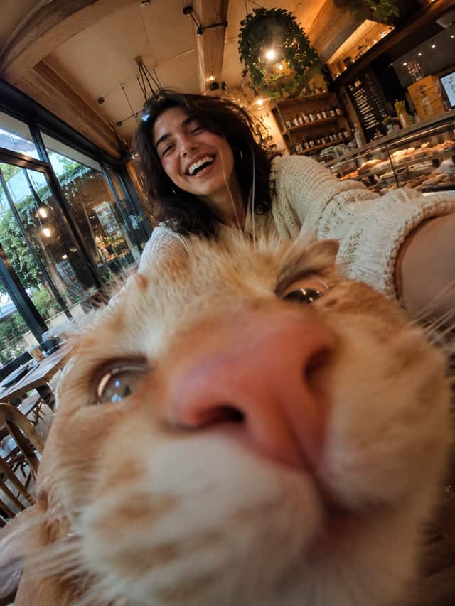 Cat Photobomb Selfie — 0.5x Wide Angle Café Chaos preview
