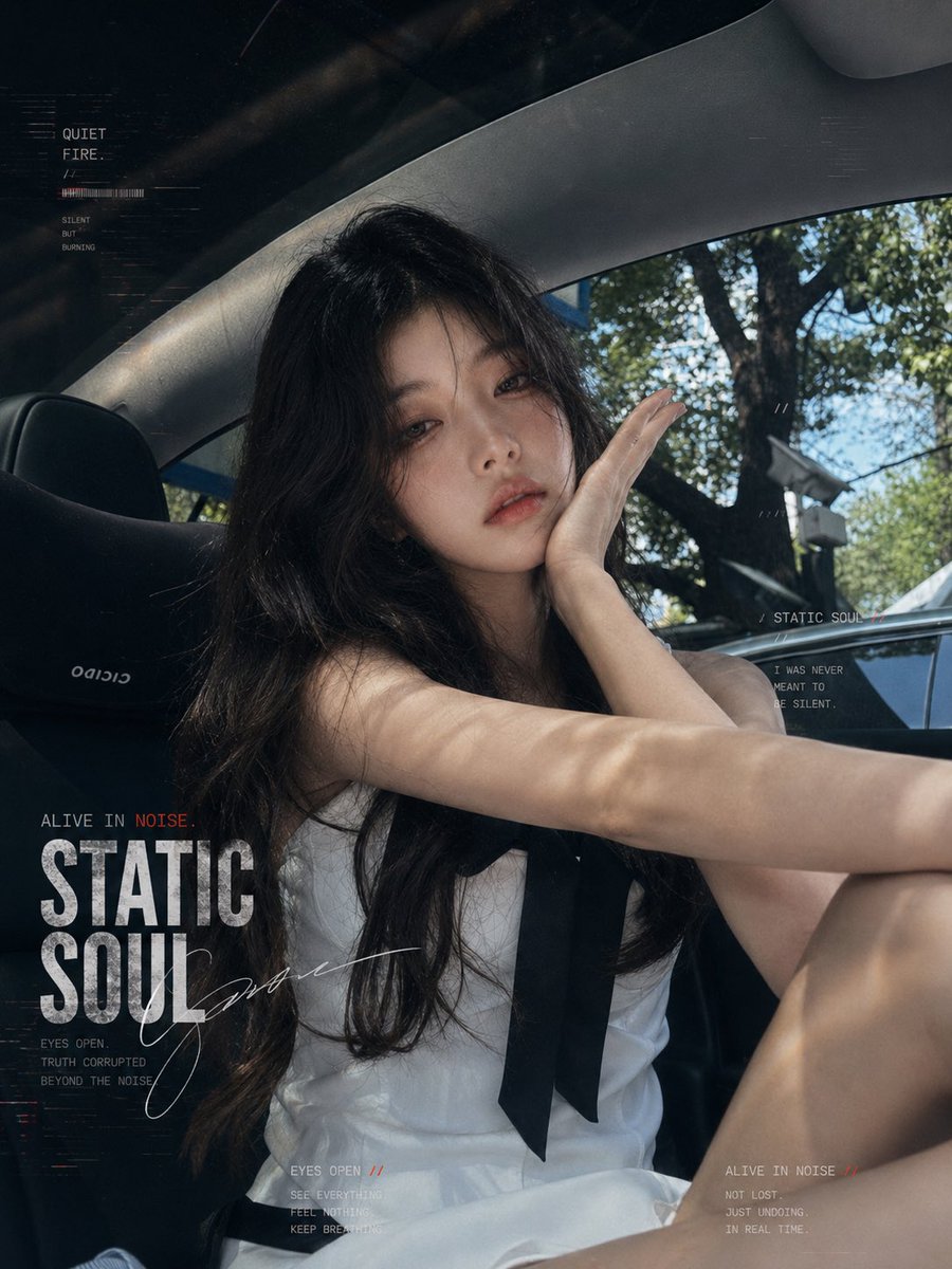 Static Soul Car Portrait Poster