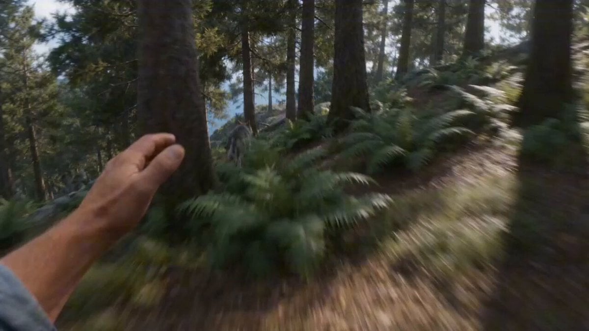 First-person FPV Chase and Rescue by Cat Pirates