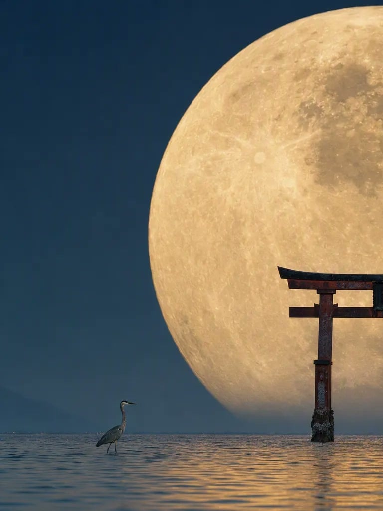 Telephoto Full Moon Torii Gate