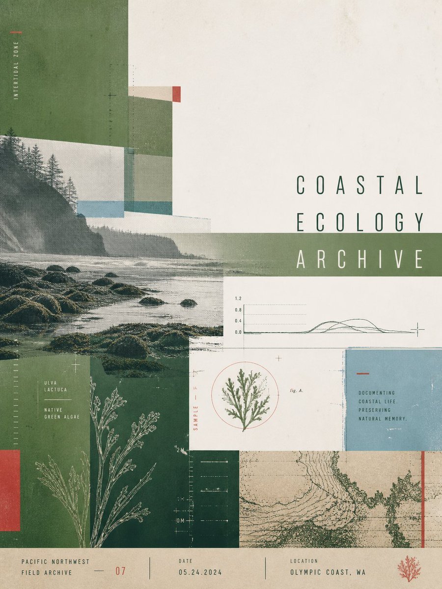Coastal Ecology Archive Poster — AI image template example