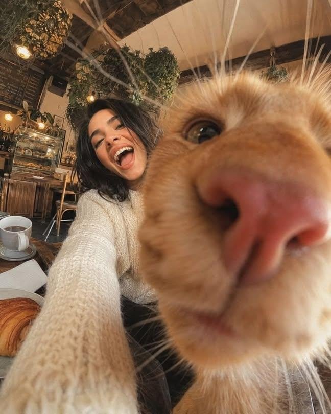 Extreme Wide-Angle Cat Photobomb Selfie — AI image template example