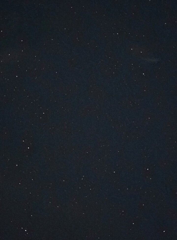 Night Sky and Pine Tree Animation