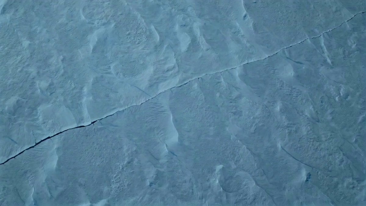 Antarctic Leviathan Awakening