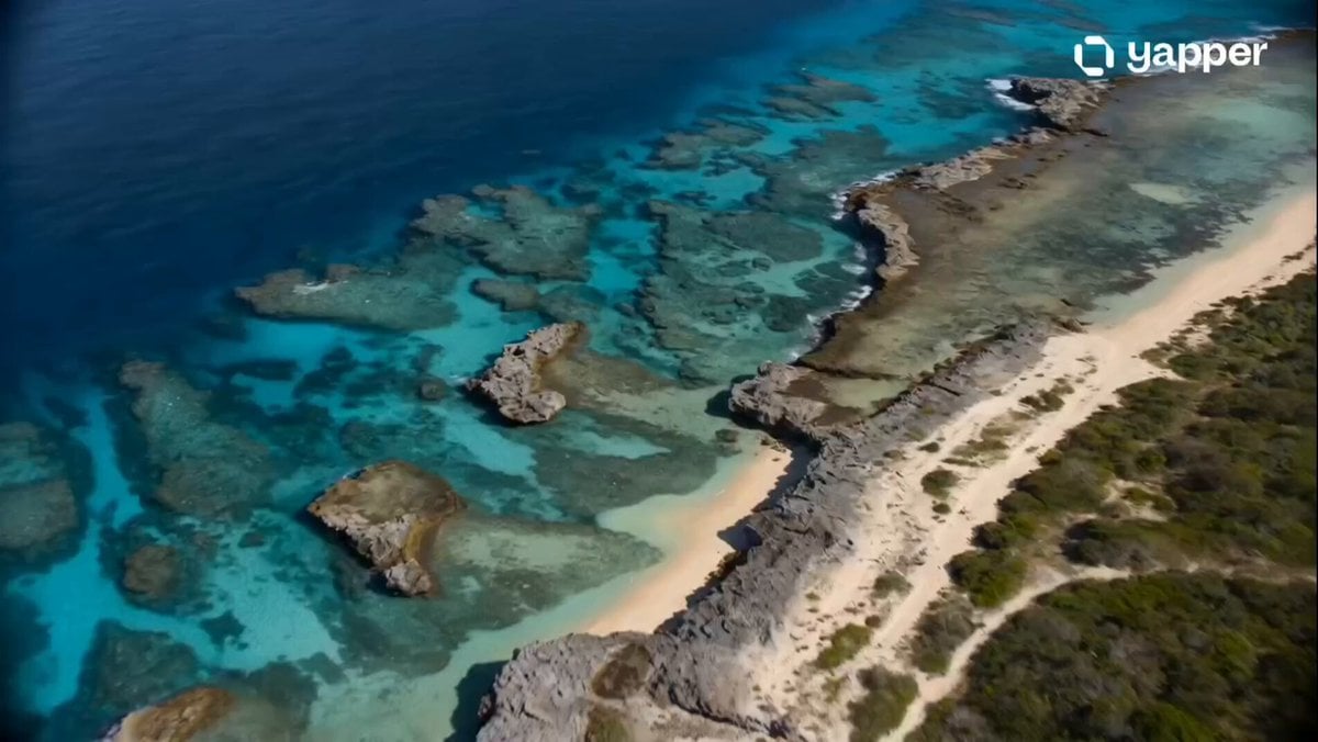 Tropical Seaplane Aerial Adventure