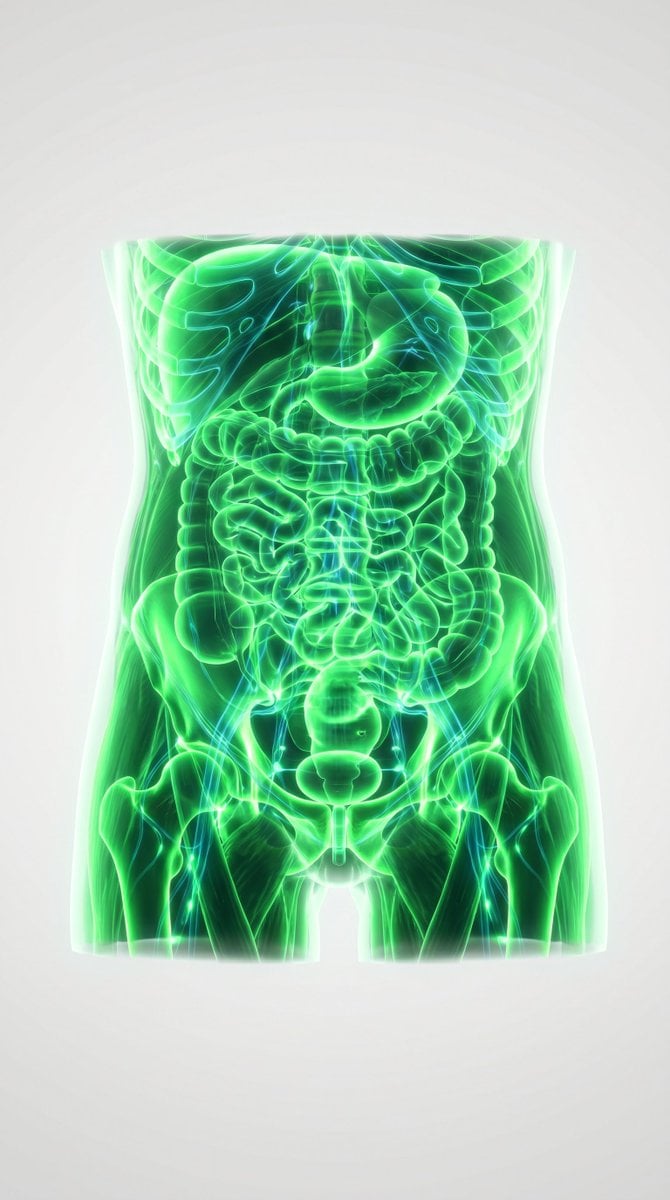 3D Medical Glow Scan Rendering