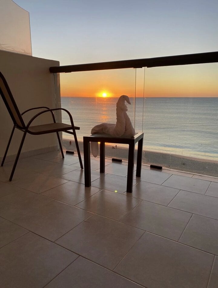Towel swan transforms into real swan at sunset