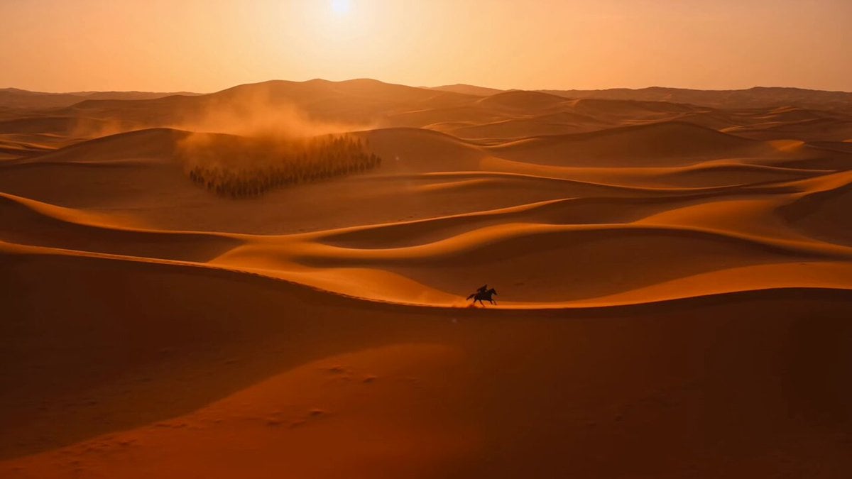 Sunset Desert Horse Chase