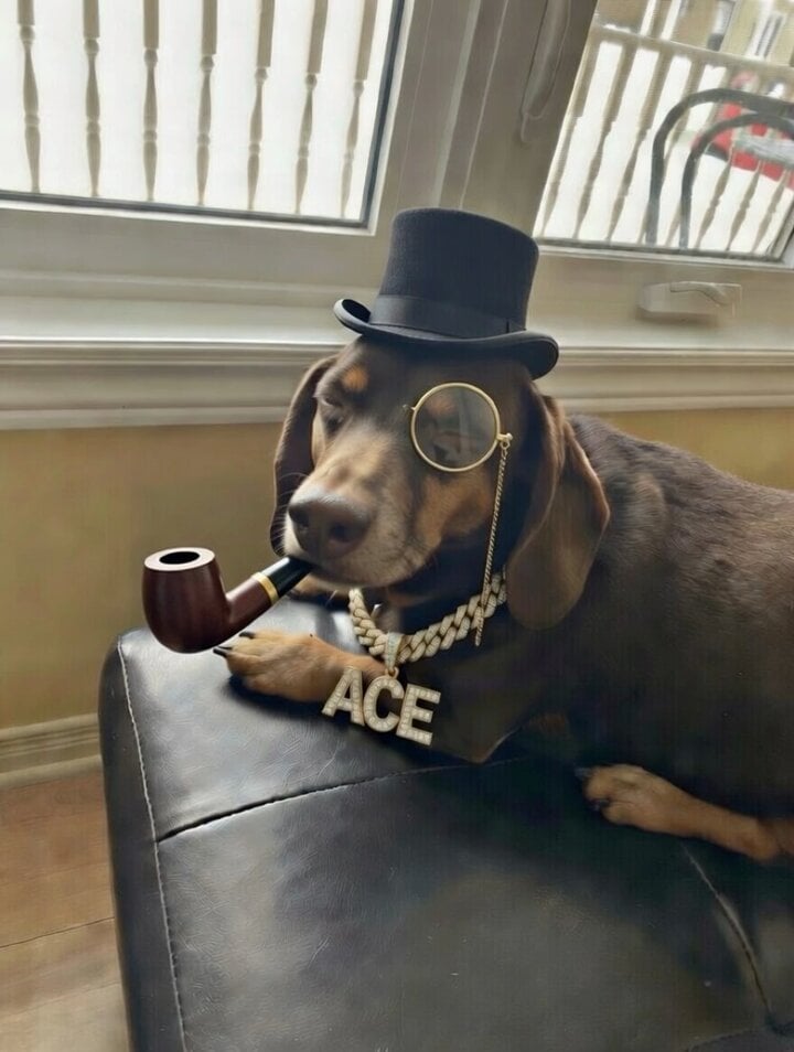 Brother dog in a tuxedo with cognac and gold chain video prompt