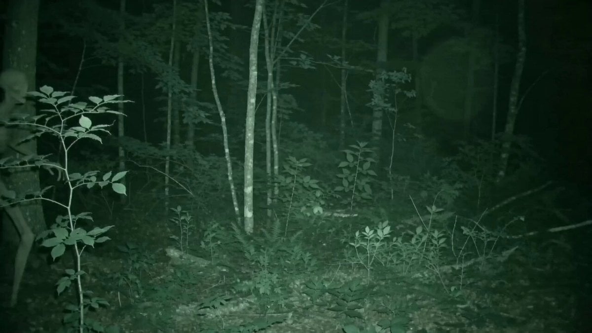 Skinwalker Night Vision Footage