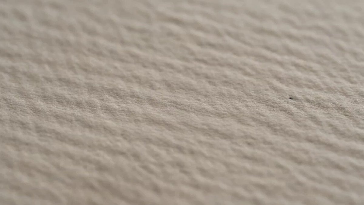 Luxury Stationery Storyboard Animation