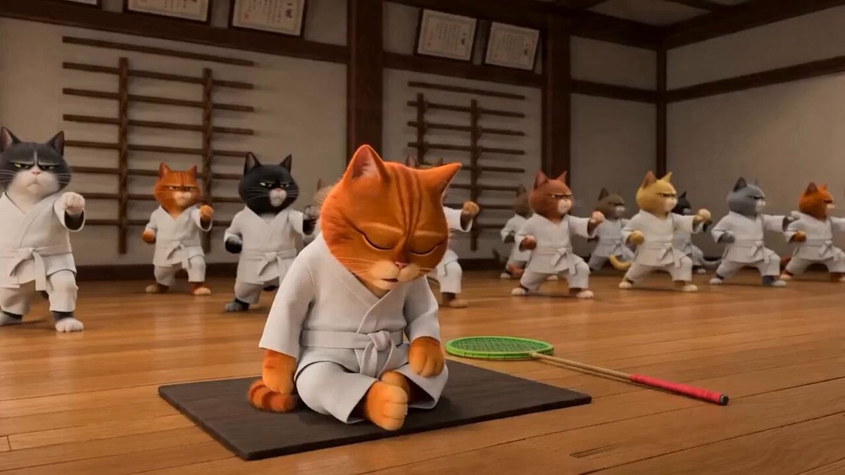 Taekwondo Cat Rooftop Chase