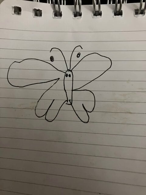 Bedtime Butterfly Animation