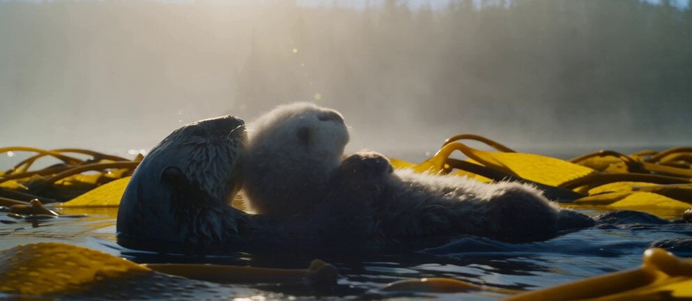 30-second nature documentary