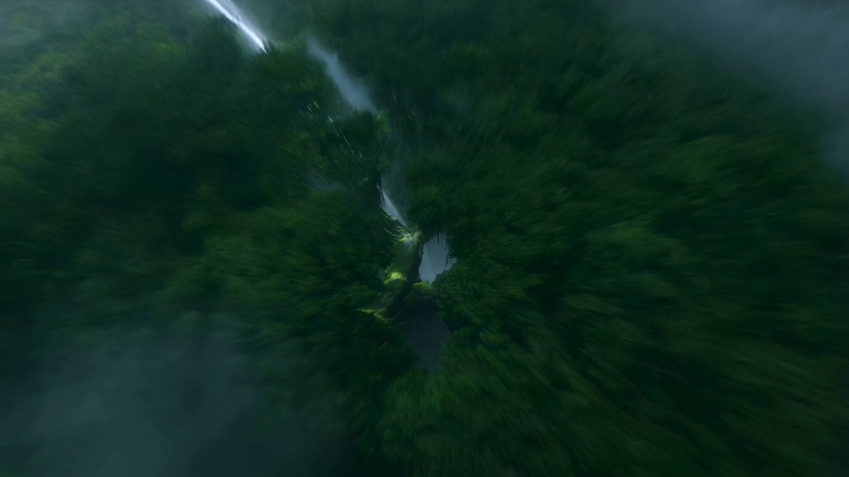 Jungle Canopy Speeder Chase