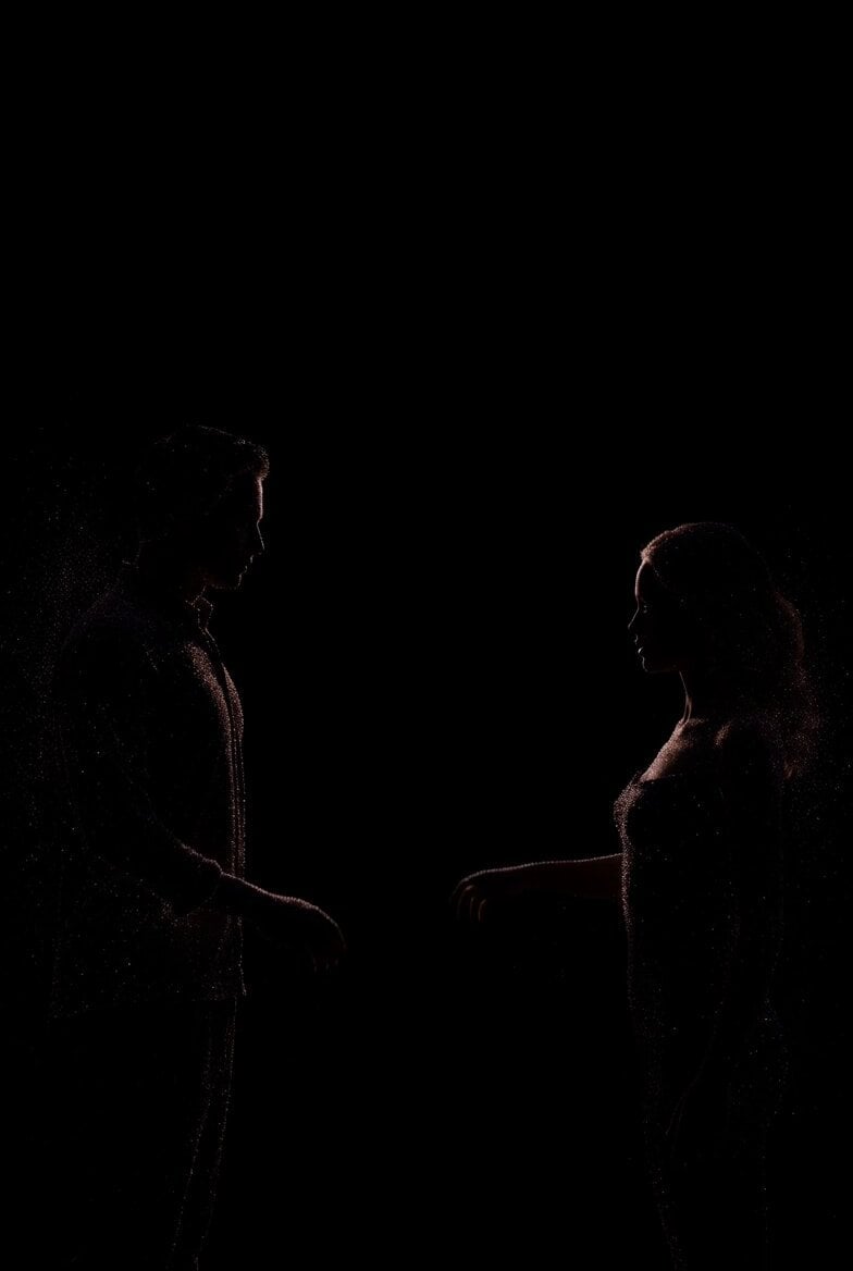 Sparkling Dust Silhouette Couple Transition