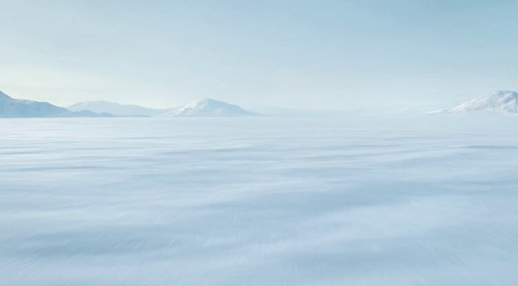 Polar Bear Emerging from Cracking Frozen Lake