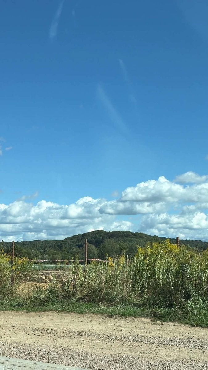 Vintage Countryside Postcard reference image 1