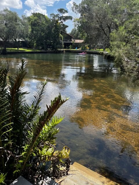 Scary Water Creature Emergence