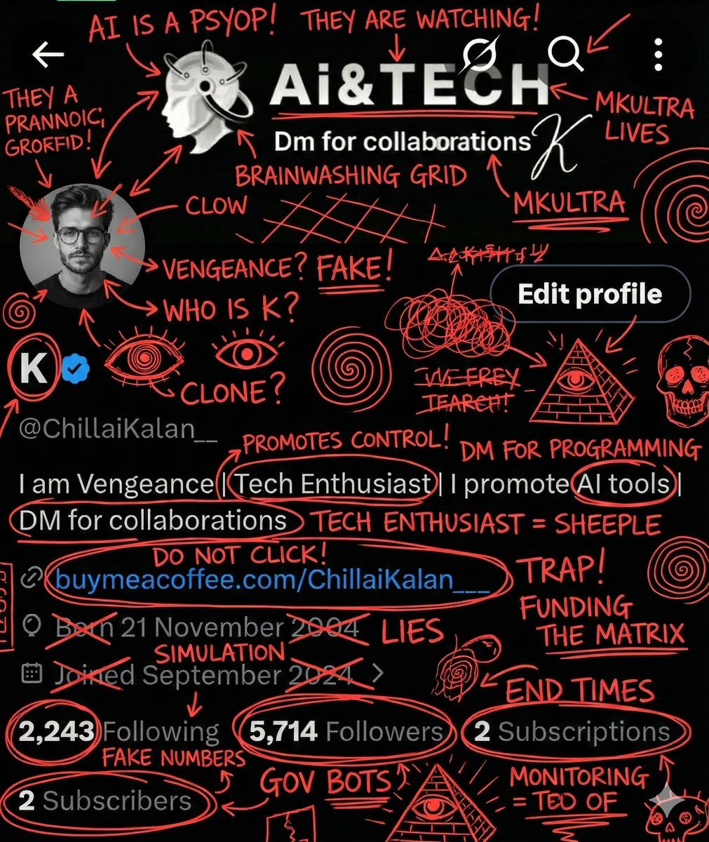 Image Overlay for 'Conspiracy Scribbles' Effect