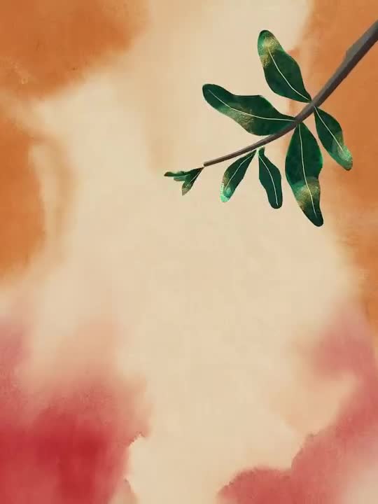 Silk Road Pomegranate Folk Animation