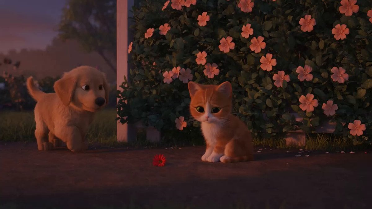 Wholesome Puppy and Kitten Story - Seedance 2.5