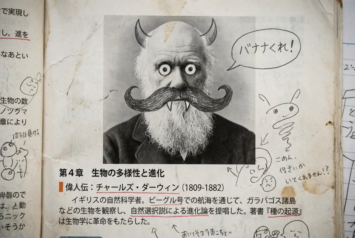 Middle schooler doodles on history textbook pages