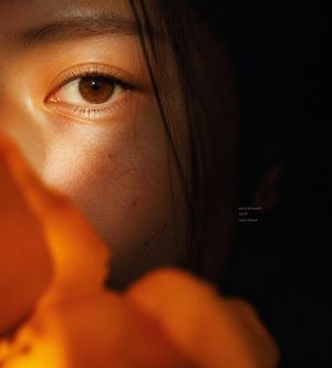 Intimate Flower Petal Macro Portrait