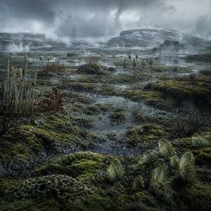 Ancient Prehistoric Swamp Landscape