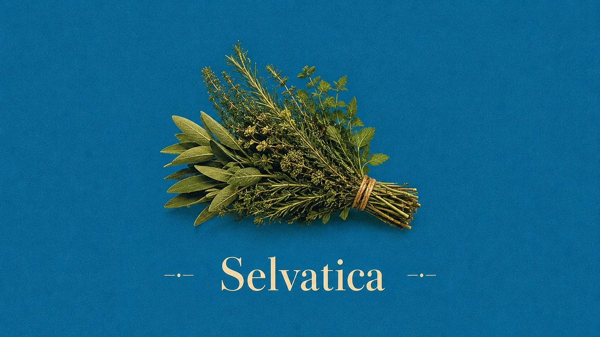 Vintage Mediterranean Herb Poster