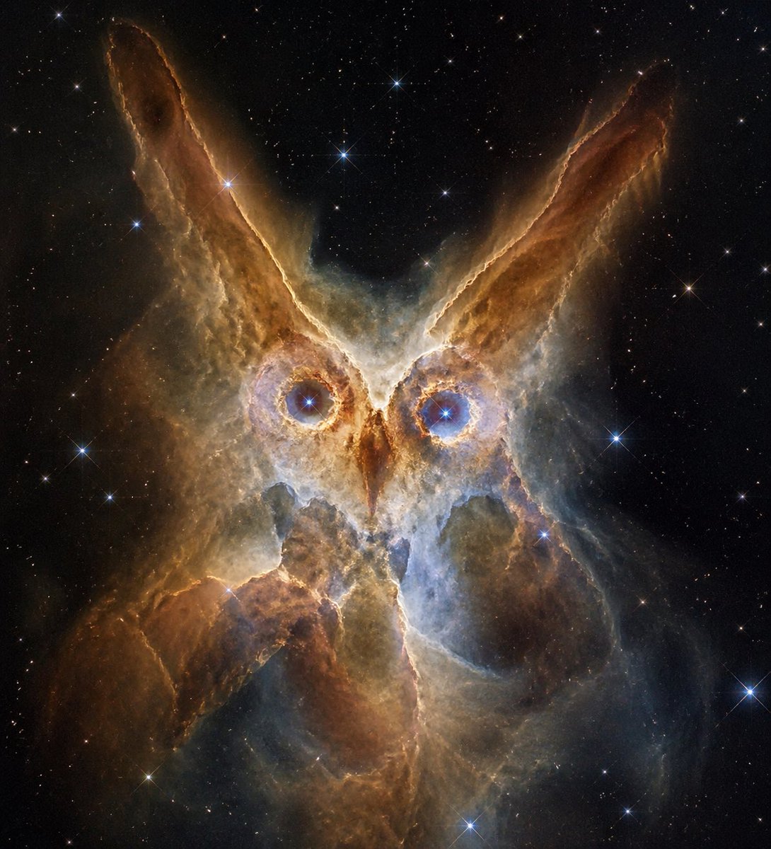 Owl-Shaped Nebula in Deep Space