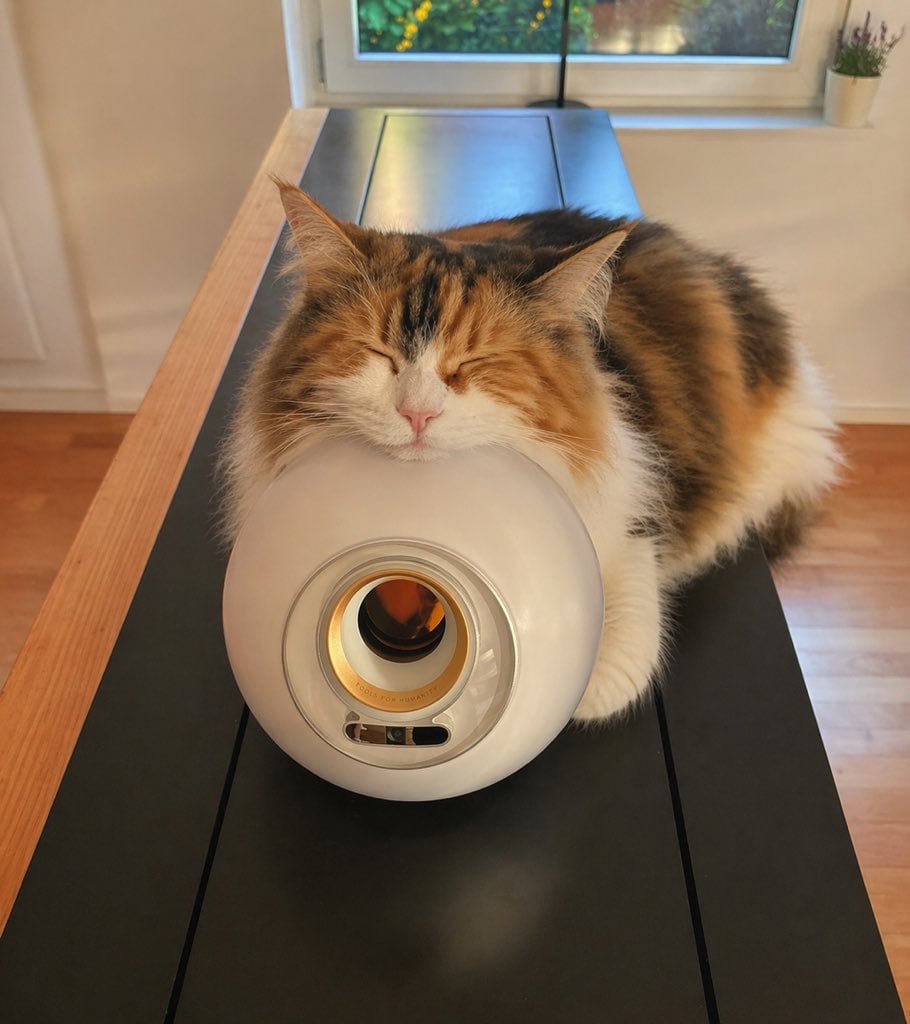 Sleeping Calico on White Appliance