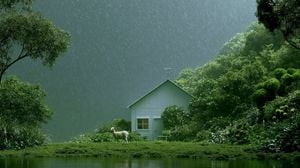 Rainy Cottage Garden With Sheep