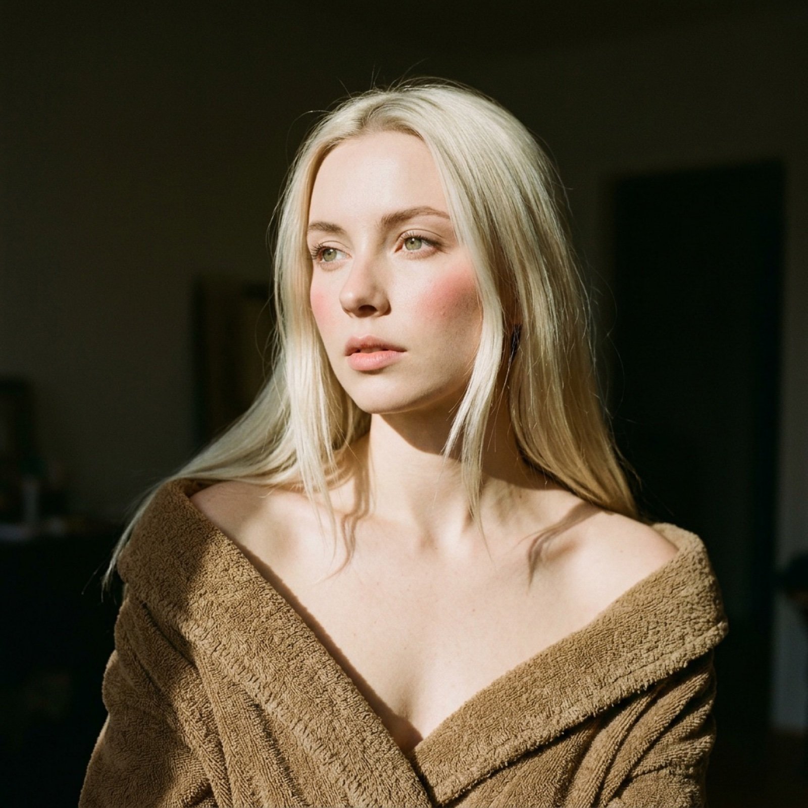 Cinematic Chiaroscuro Portrait Prompt in JSON Format