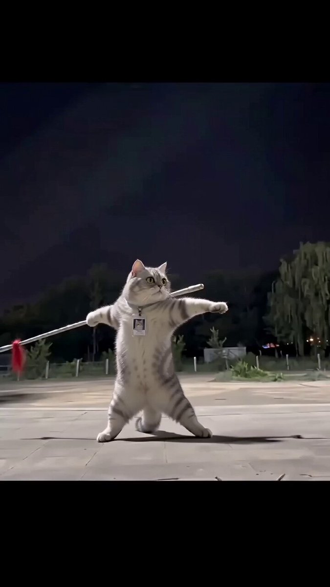 Real Animal Spear Dance Video Generation