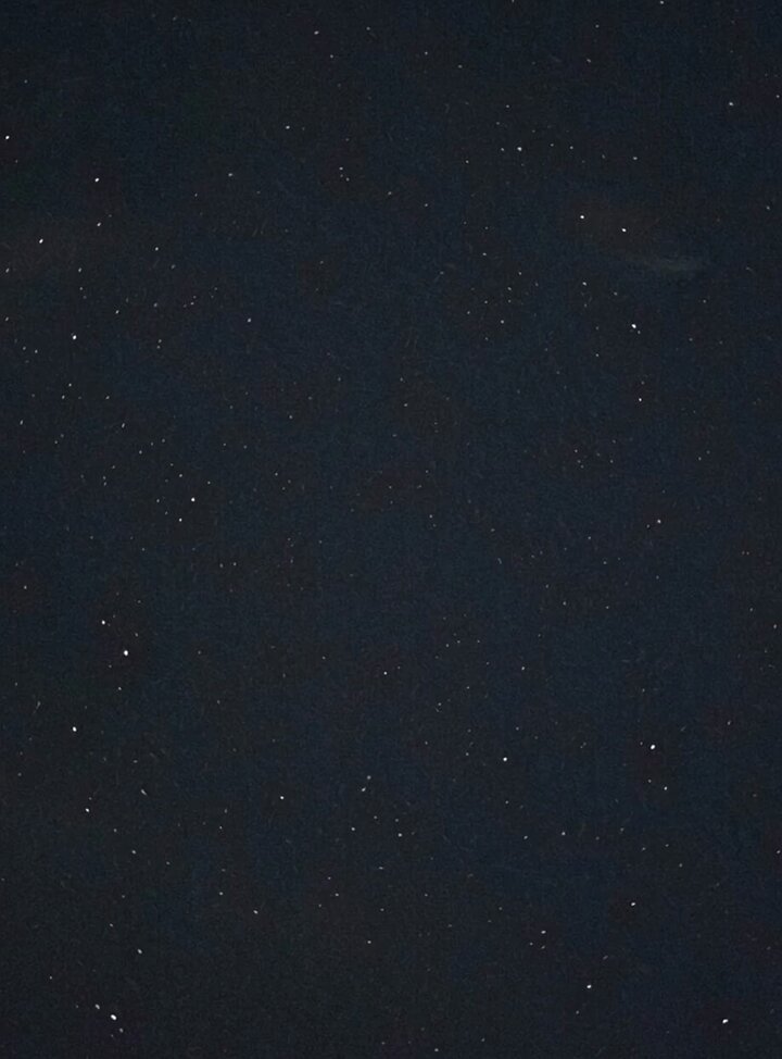 Night Sky and Pine Tree Animation